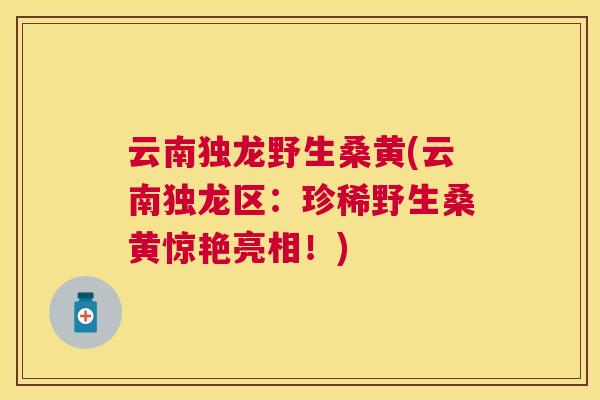 云南独龙野生桑黄(云南独龙区:珍稀野生桑黄惊艳亮相!) 云南独龙野生桑黄(云南独龙区:珍稀野生桑黄惊艳亮相!)