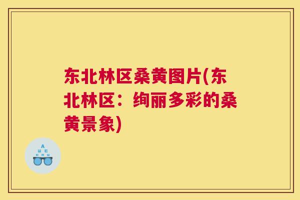东北林区桑黄图片(东北林区:绚丽多彩的桑黄景象) 东北林区桑黄图片(东北林区:绚丽多彩的桑黄景象)