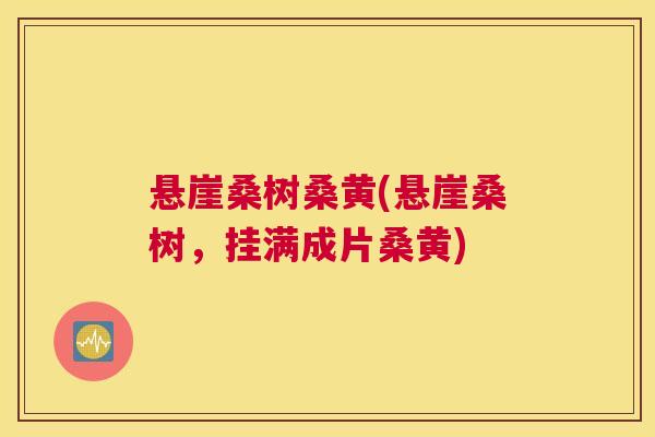 悬崖桑树桑黄(悬崖桑树,挂满成片桑黄) 悬崖桑树桑黄(悬崖桑树,挂满成片桑黄)