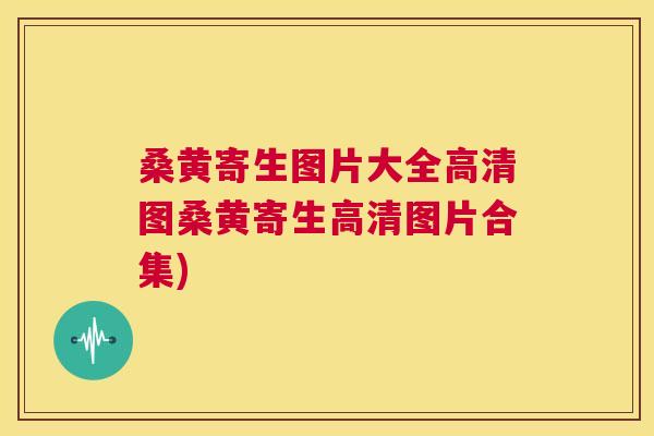 桑黄寄生图片大全高清图桑黄寄生高清图片合集) 桑黄寄生图片大全高清图桑黄寄生高清图片合集)