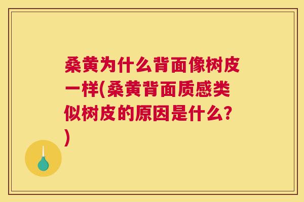 桑黄为什么背面像树皮一样(桑黄背面质感类似树皮的原因是什么?) 桑黄为什么背面像树皮一样(桑黄背面质感类似树皮的原因是什么?)