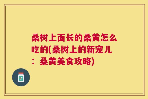 桑树上面长的桑黄怎么吃的(桑树上的新宠儿:桑黄美食攻略) 桑树上面长的桑黄怎么吃的(桑树上的新宠儿:桑黄美食攻略)
