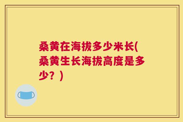 桑黄在海拔多少米长(桑黄生长海拔高度是多少?) 桑黄在海拔多少米长(桑黄生长海拔高度是多少?)