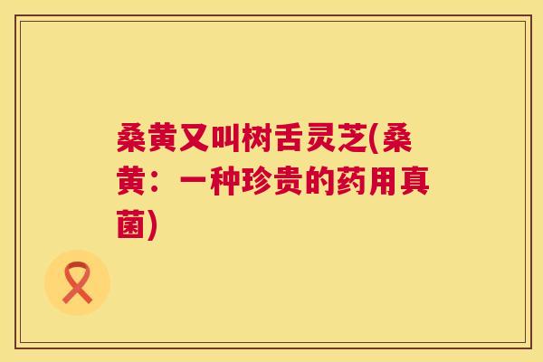 桑黄又叫树舌灵芝(桑黄:一种珍贵的药用真菌) 桑黄又叫树舌灵芝(桑黄:一种珍贵的药用真菌)