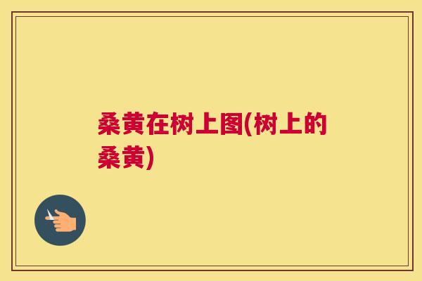 桑黄在树上图(树上的桑黄) 桑黄在树上图(树上的桑黄)
