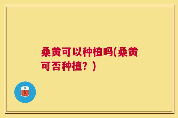 桑黄可以种植吗(桑黄可否种植?) 桑黄可以种植吗(桑黄可否种植?)