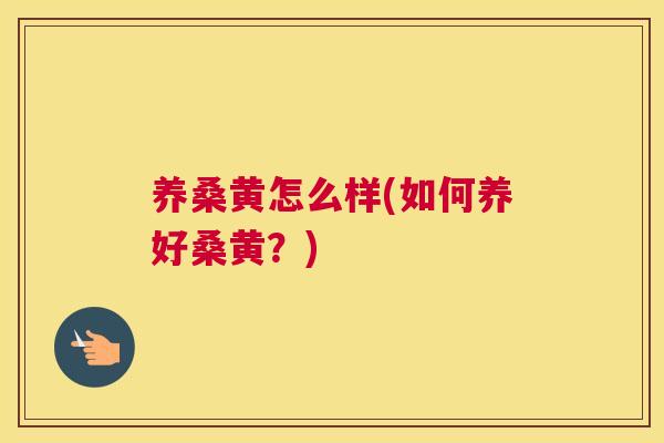 养桑黄怎么样(如何养好桑黄?) 养桑黄怎么样(如何养好桑黄?)