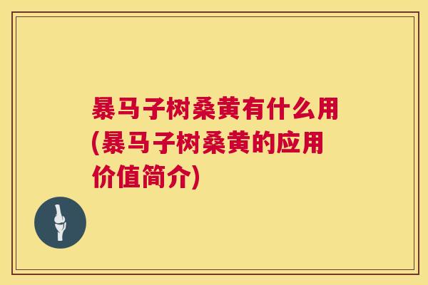 暴马子树桑黄有什么用(暴马子树桑黄的应用价值简介) 暴马子树桑黄有什么用(暴马子树桑黄的应用价值简介)