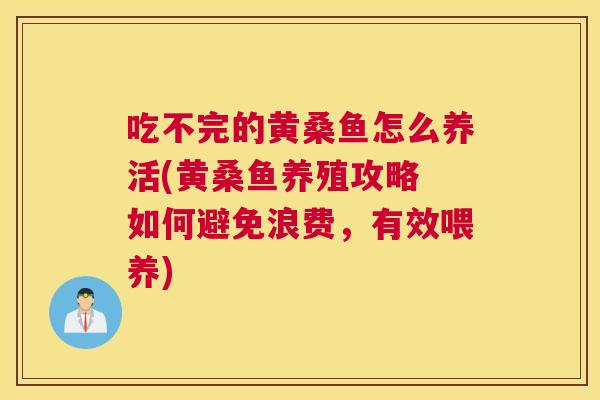 吃不完的黄桑鱼怎么养活(黄桑鱼养殖攻略 如何避免浪费,有效喂养) 吃不完的黄桑鱼怎么养活(黄桑鱼养殖攻略 如何避免浪费,有效喂养)