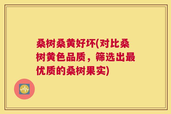 桑树桑黄好坏(对比桑树黄色品质,筛选出优质的桑树果实) 桑树桑黄好坏(对比桑树黄色品质,筛选出优质的桑树果实)