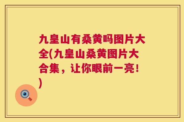 九皇山有桑黄吗图片大全(九皇山桑黄图片大合集,让你眼前一亮!) 九皇山有桑黄吗图片大全(九皇山桑黄图片大合集,让你眼前一亮!)
