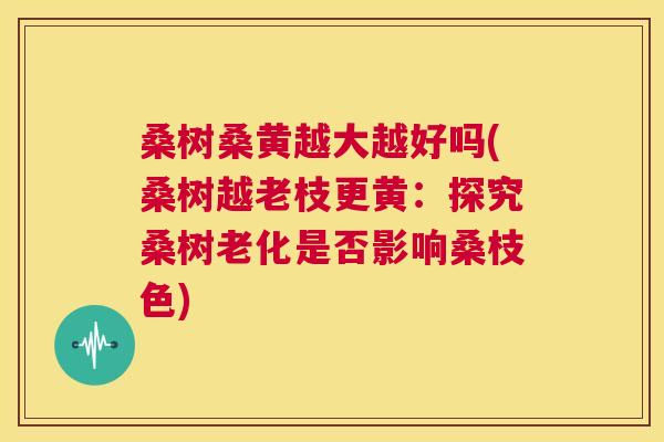 桑树桑黄越大越好吗(桑树越老枝更黄:探究桑树老化是否影响桑枝色) 桑树桑黄越大越好吗(桑树越老枝更黄:探究桑树老化是否影响桑枝色)