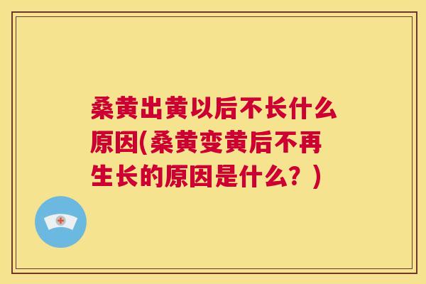 桑黄出黄以后不长什么原因(桑黄变黄后不再生长的原因是什么?) 桑黄出黄以后不长什么原因(桑黄变黄后不再生长的原因是什么?)