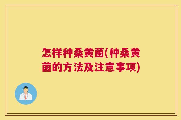 怎样种桑黄菌(种桑黄菌的方法及注意事项) 怎样种桑黄菌(种桑黄菌的方法及注意事项)