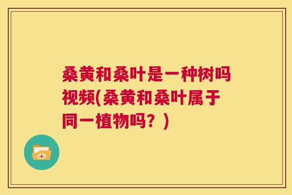 桑黄和桑叶是一种树吗视频(桑黄和桑叶属于同一植物吗?) 桑黄和桑叶是一种树吗视频(桑黄和桑叶属于同一植物吗?)
