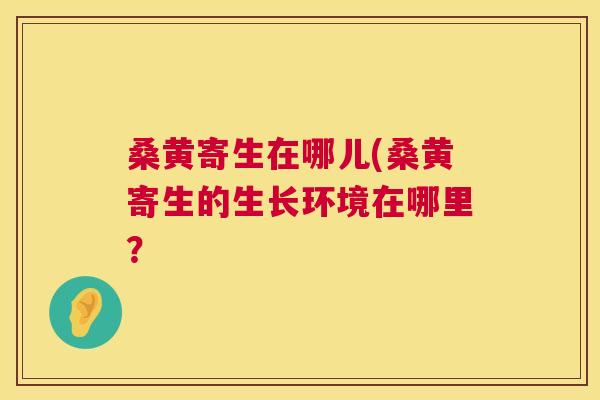 桑黄寄生在哪儿(桑黄寄生的生长环境在哪里? 桑黄寄生在哪儿(桑黄寄生的生长环境在哪里?