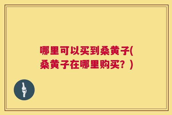 哪里可以买到桑黄子(桑黄子在哪里购买?) 哪里可以买到桑黄子(桑黄子在哪里购买?)