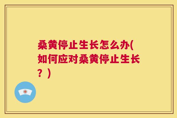 桑黄停止生长怎么办(如何应对桑黄停止生长?) 桑黄停止生长怎么办(如何应对桑黄停止生长?)