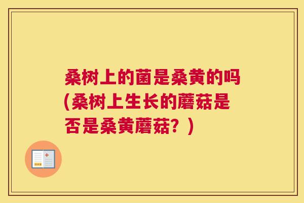 桑树上的菌是桑黄的吗(桑树上生长的蘑菇是否是桑黄蘑菇?) 桑树上的菌是桑黄的吗(桑树上生长的蘑菇是否是桑黄蘑菇?)