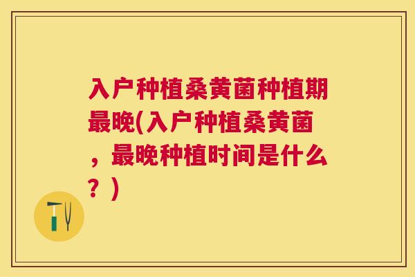 入户种植桑黄菌种植期晚(入户种植桑黄菌,晚种植时间是什么?) 入户种植桑黄菌种植期晚(入户种植桑黄菌,晚种植时间是什么?)