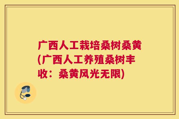 广西人工栽培桑树桑黄(广西人工养殖桑树丰收:桑黄风光无限) 广西人工栽培桑树桑黄(广西人工养殖桑树丰收:桑黄风光无限)