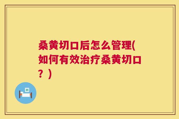 桑黄切口后怎么管理(如何有效桑黄切口?) 桑黄切口后怎么管理(如何有效桑黄切口?)