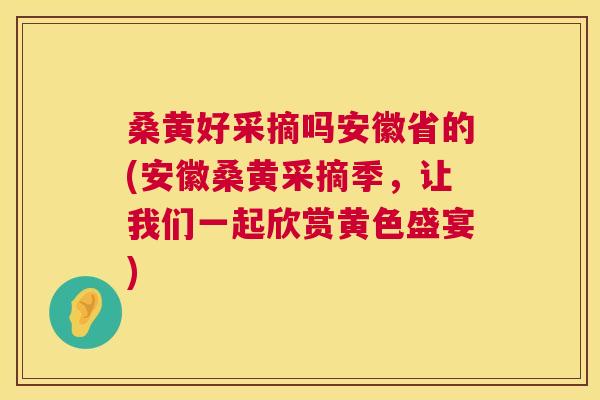 桑黄好采摘吗安徽省的(安徽桑黄采摘季,让我们一起欣赏黄色盛宴) 桑黄好采摘吗安徽省的(安徽桑黄采摘季,让我们一起欣赏黄色盛宴)