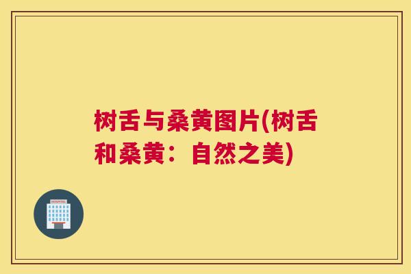 树舌与桑黄图片(树舌和桑黄:自然之美) 树舌与桑黄图片(树舌和桑黄:自然之美)
