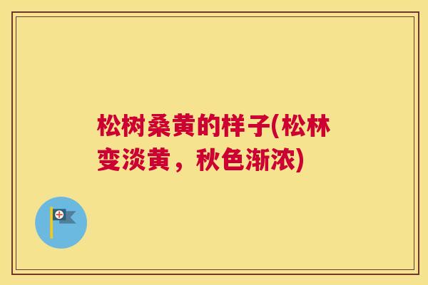 松树桑黄的样子(松林变淡黄,秋色渐浓) 松树桑黄的样子(松林变淡黄,秋色渐浓)