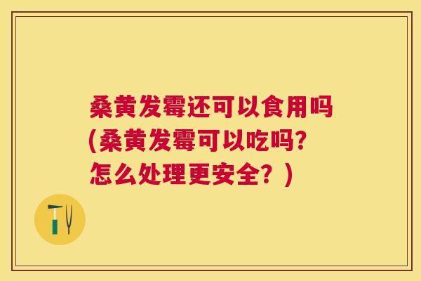 桑黄发霉还可以食用吗(桑黄发霉可以吃吗?怎么处理更安全?) 桑黄发霉还可以食用吗(桑黄发霉可以吃吗?怎么处理更安全?)