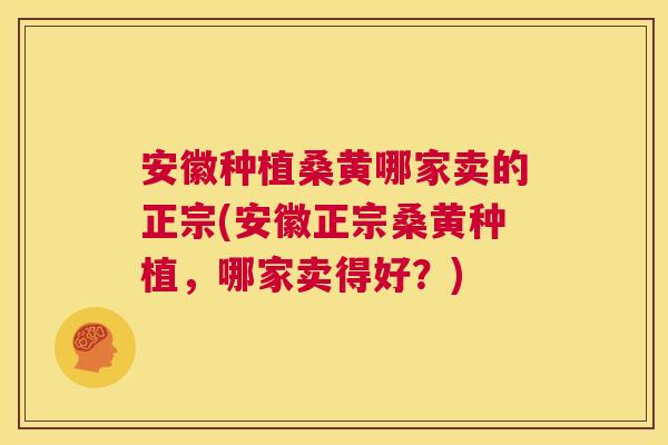安徽种植桑黄哪家卖的正宗(安徽正宗桑黄种植，哪家卖得好？)