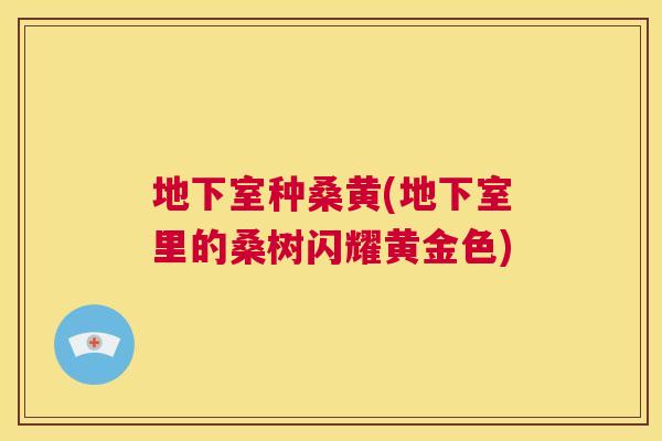 地下室种桑黄(地下室里的桑树闪耀黄金色) 地下室种桑黄(地下室里的桑树闪耀黄金色)