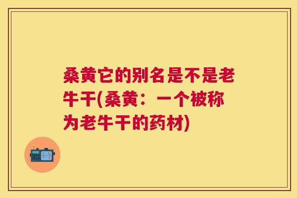 桑黄它的别名是不是老牛干(桑黄:一个被称为老牛干的药材) 桑黄它的别名是不是老牛干(桑黄:一个被称为老牛干的药材)