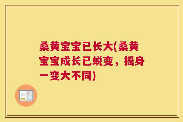 桑黄宝宝已长大(桑黄宝宝成长已蜕变,摇身一变大不同) 桑黄宝宝已长大(桑黄宝宝成长已蜕变,摇身一变大不同)