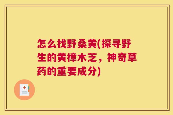 怎么找野桑黄(探寻野生的黄樟木芝,神奇草药的重要成分) 怎么找野桑黄(探寻野生的黄樟木芝,神奇草药的重要成分)