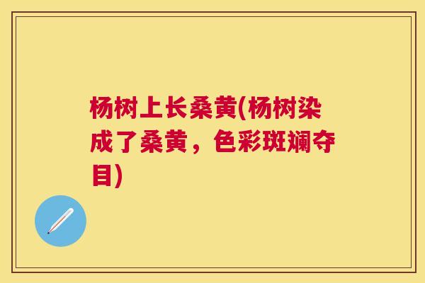 杨树上长桑黄(杨树染成了桑黄,色彩斑斓夺目) 杨树上长桑黄(杨树染成了桑黄,色彩斑斓夺目)