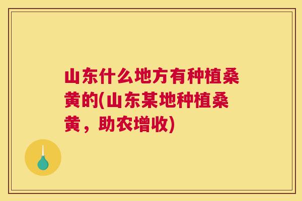 山东什么地方有种植桑黄的(山东某地种植桑黄,助农增收) 山东什么地方有种植桑黄的(山东某地种植桑黄,助农增收)