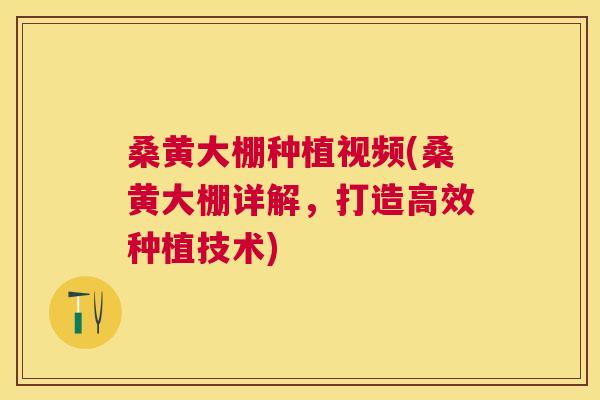 桑黄大棚种植视频(桑黄大棚详解,打造高效种植技术) 桑黄大棚种植视频(桑黄大棚详解,打造高效种植技术)