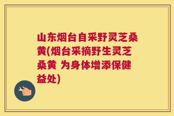 山东烟台自采野灵芝桑黄(烟台采摘野生灵芝桑黄 为身体增添保健益处) 山东烟台自采野灵芝桑黄(烟台采摘野生灵芝桑黄 为身体增添保健益处)