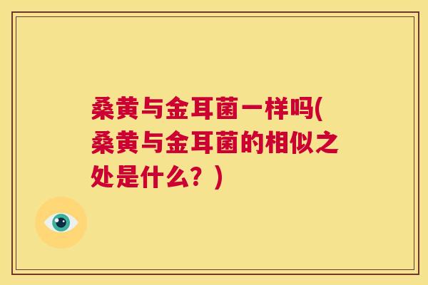 桑黄与金耳菌一样吗(桑黄与金耳菌的相似之处是什么?) 桑黄与金耳菌一样吗(桑黄与金耳菌的相似之处是什么?)