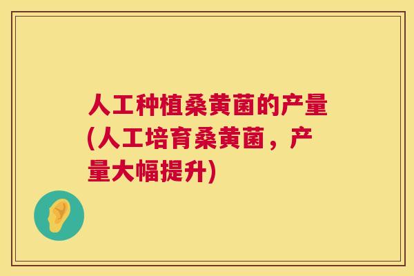 人工种植桑黄菌的产量(人工培育桑黄菌,产量大幅提升) 人工种植桑黄菌的产量(人工培育桑黄菌,产量大幅提升)