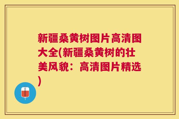 新疆桑黄树图片高清图大全(新疆桑黄树的壮美风貌:高清图片精选) 新疆桑黄树图片高清图大全(新疆桑黄树的壮美风貌:高清图片精选)