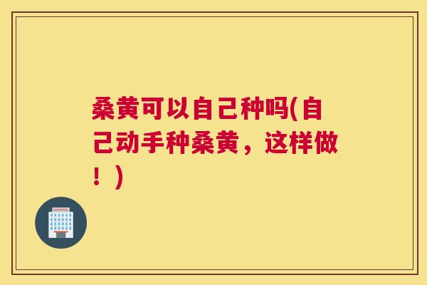 桑黄可以自己种吗(自己动手种桑黄,这样做!) 桑黄可以自己种吗(自己动手种桑黄,这样做!)