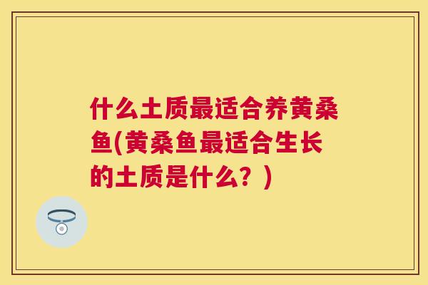 什么土质适合养黄桑鱼(黄桑鱼适合生长的土质是什么?) 什么土质适合养黄桑鱼(黄桑鱼适合生长的土质是什么?)