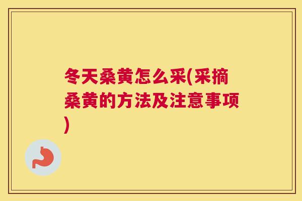 冬天桑黄怎么采(采摘桑黄的方法及注意事项)
