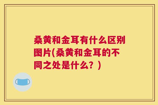 桑黄和金耳有什么区别图片(桑黄和金耳的不同之处是什么?) 桑黄和金耳有什么区别图片(桑黄和金耳的不同之处是什么?)