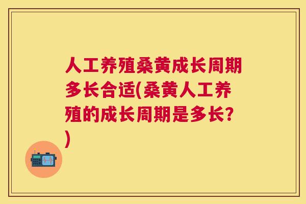人工养殖桑黄成长周期多长合适(桑黄人工养殖的成长周期是多长?) 人工养殖桑黄成长周期多长合适(桑黄人工养殖的成长周期是多长?)
