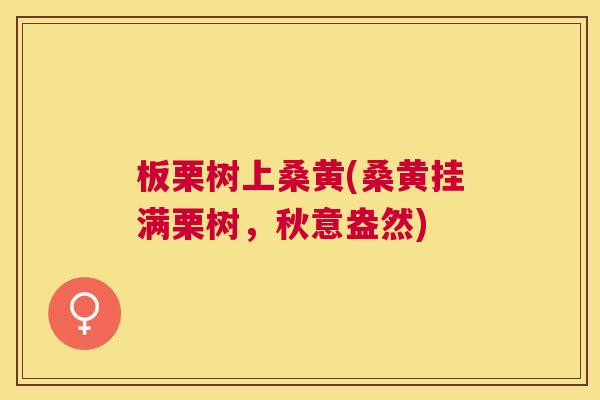 板栗树上桑黄(桑黄挂满栗树,秋意盎然) 板栗树上桑黄(桑黄挂满栗树,秋意盎然)