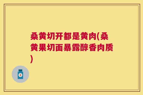 桑黄切开都是黄肉(桑黄果切面暴露醇香肉质) 桑黄切开都是黄肉(桑黄果切面暴露醇香肉质)