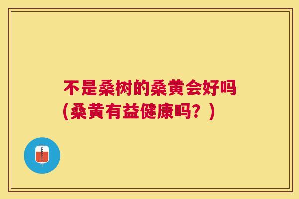不是桑树的桑黄会好吗(桑黄有益健康吗?) 不是桑树的桑黄会好吗(桑黄有益健康吗?)